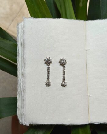 Pendientes Narciso largos plata